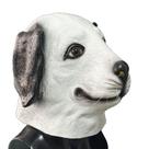 Máscara realista de resina branca para cães para cosplay de Halloween