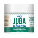 Máscara Reconstrutora Condicionante Juba Widi Care 500g