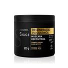 Máscara Repositora Siàge Expert Regeneração Pós Química 500g - Eudora
