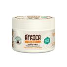 Máscara Restauradora África Baobá Apse 300g - Anti Frizz - Ação condicionante - Low Poo