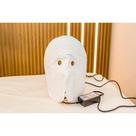 Máscara Térmica Facial Estética Limpeza de Pele Elétrica Bivolt 127v/220v