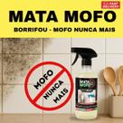 Mata Mofo Eurodecor Teto de Banheiro Pisos Rejuntes Madeiras e Armários