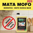 Mata Mofo Eurodecor Teto de Banheiro Pisos Rejuntes Madeiras e Armários