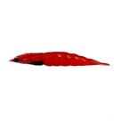 Matadeira isca artificial new camarão robaleiro 7,8cm cor28 Matadeira isca artificial new camarão robaleiro 7,8cm cor28
