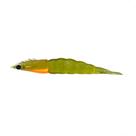 Matadeira new camarao robaleiro 9,8cm cor 27 Matadeira new camarao robaleiro 9,8cm cor 27