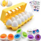 Matching Eggs MOONTOY para reconhecimento de cores e formas de crianças Matching Eggs MOONTOY para reconhecimento de cores e formas de crianças