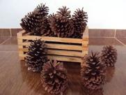 Material Para Artesanato 10 Pinhas Enfeites Para Natal Material Para Artesanato 10 Pinhas Enfeites Para Natal