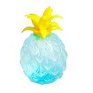 Material TPR de brinquedo Spongy Beads Ball Toy em forma de abacaxi