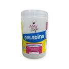 Max Capi Gelatina - Modelagem e Fixação 1Kg Max Capi Gelatina - Modelagem e Fixação 1Kg