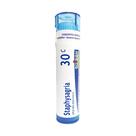 Medicamento homeopático Boiron Staphysagria 30C, 80 pastilhas