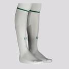Meião Puma Palmeiras II 2025