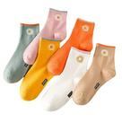 Meias SENCODA Daisy Cotton femininas com padrão vintage 6/12 pares
