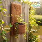 Meio vaso com placa vaso xaxim fibra de coco ecologico n1 - 13cm Gold Plant