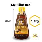 Mel Abeeiro Puro Natural em bisnaga 1.1kg