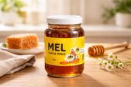Mel com favo silvestre 750g flor de minas Mel com favo silvestre 750g flor de minas