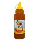 Mel de Abelhas Puro - Silvestre de Flores do cerrado - 1 Kg
