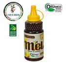Mel de Aroeira 500g (Orgânico).
