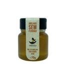 Mel de Jataí Abelhas sem Ferrão Parque das Abelhas 70g Serra Gaúcha Recomendado para Diabéticos
