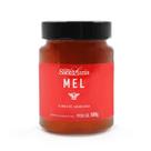 Mel de Laranjeira Casa Santa Luzia 500g