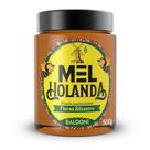 Mel Holanda Silvestre Bisnaga 500g - Baldoni