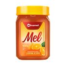 Mel Laranjeira - Minamel - Pote 500g Mel Laranjeira - Minamel - Pote 500g