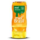 Mel Mel Brasil 100% Puro Silvestre 300g
