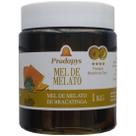 Mel Melato de Bracatinga Pote de 1kg