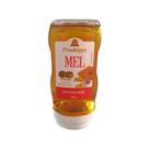 Mel Multiflores Bisnaga 300g - Prodapys