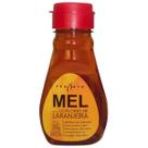 Mel Sabor Flores de Laranjeira Pronatu 250g Mel Sabor Flores de Laranjeira Pronatu 250g