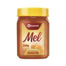 Mel Silvestre 500g - Minamel