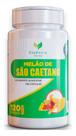 Melão Caetano 120 Cápsulas 500mg - ESSÊNCIA VERDE Melão Caetano 120 Cápsulas 500mg - ESSÊNCIA VERDE