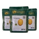Melão Híbrido Canarinho Amarelo 3000 Sementes Ciclo Rápido Melão Híbrido Canarinho Amarelo 3000 Sementes Ciclo Rápido
