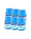 Mentos Chiclete Pure Fresh Fresh Mint Sem Açúcar Display c/ 6 Potinhos