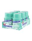 Mentos Chiclete Pure Fresh Wintgreen Menta Verde Sem Açúcar Display c/ 6 Potinhos