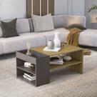 Mesa de Centro para Sala de Estar Mital