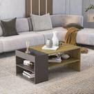 Mesa de Centro para Sala de Estar Mital
