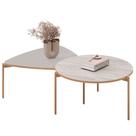 Mesa de Centro Para Sala Pés Metálicos Zira e Nala D04 Bali/Quartzo - Mpozenato