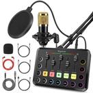 Mesa de som WEGROWER W-11GD recarregável com microfone duplo e RGB Mesa de som WEGROWER W-11GD recarregável com microfone duplo e RGB