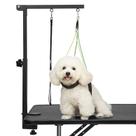 Mesa de tratamento de cães Arm Breeze Touch para cães pequenos de 32 cm Mesa de tratamento de cães Arm Breeze Touch para cães pequenos de 32 cm