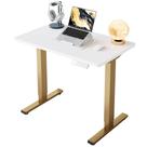 Mesa elevatória elétrica HUANUO 32" com 4 memórias