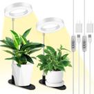 Mesa Plant Grow Light LORDEM Full Spectrum Halo, pacote com 2 unidades, branca