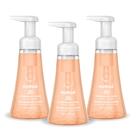 Método de lavagem à mão com espuma: sândalo e cedro, 300 ml, pacote com 3