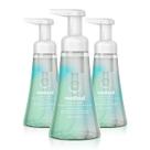 Método de lavagem de mãos com espuma: água de coco 300 ml (pacote com 3)
