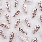 Miçanga Tulipa Chapéu Metal Prata 5x10x16mm 100pçs 80g Miçanga Tulipa Chapéu Metal Prata 5x10x16mm 100pçs 80g