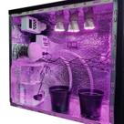 Micro Estufa Secreta Pc Grow Com Irrigação Automática Hidro