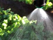 Microaspersor Ma-50 Agrojet 100 Unidades - Irrigação