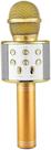 MicrofMicrofone Bluetooth Sem Fio Karaoke Porta Usb Alto-falante Embutido Dourado
