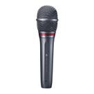 Microfone Audio-Technica AE6100 Dinâmico Hipercardioide