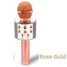 Microfone Bluetooth Karaoke Reporter WS-858