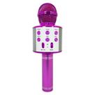 Microfone Bluetooth Sem Fio Spring Karaokê Kids SPK-015 Rosa